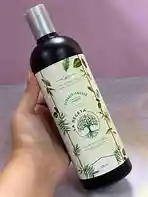 Acondicionador Con Aceite De Cannabis La Receta 500 Ml