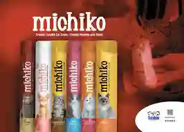Promo *3 Michiko