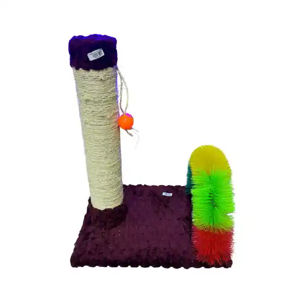 Gimnasio Con Acicalador