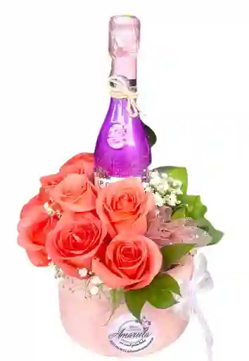 Rosas Jp