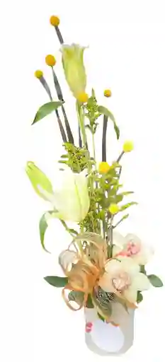 Flores Tipo Jardinera