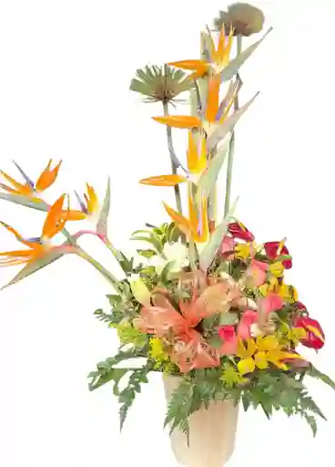 Flores Surtidas Armonía Primaveral