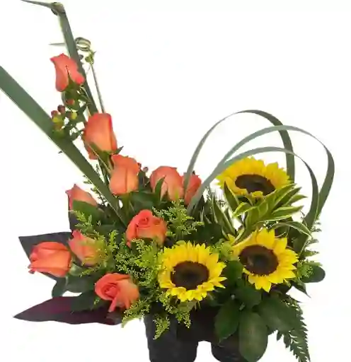 Flores Jardin Eterno