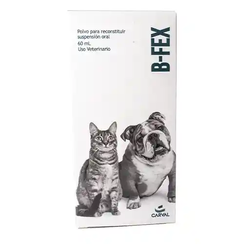 B-fex Suspensión 60 Ml