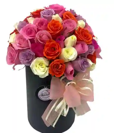 Rosas Multicolor En Cilindro