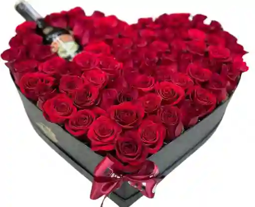 Rosas Jumbo Bailys