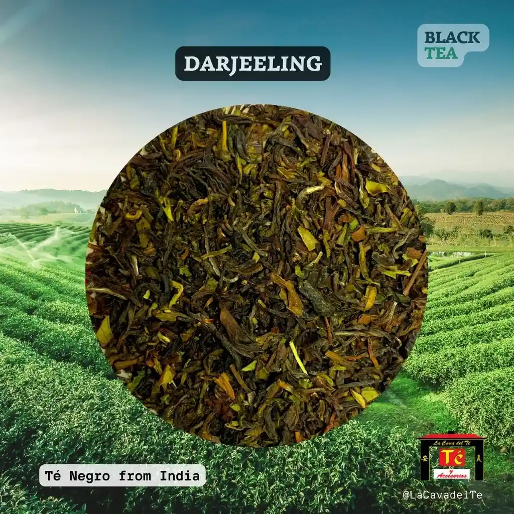 Darjeeling - Té Negro