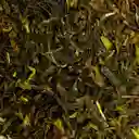 Darjeeling - Té Negro