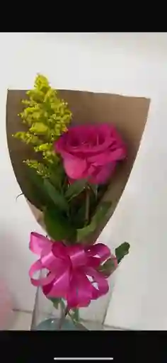 Rosa Individual