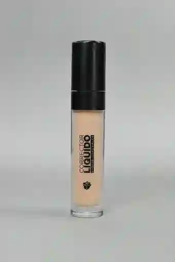Corrector Liquido Ivory Dolce Bella 9g