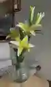 Florero Jarrón De Vidrio (corona Ii)