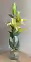 Florero Jarrón De Vidrio (botero)