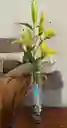 Florero Jarrón Egipcio