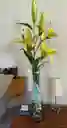 Florero Jarrón Egipcio