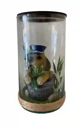 Adorno Perro En Frasco De Vidrio (golden Retriever)