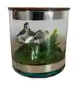 Adorno Elefante Decorativo En Vaso De Cristal 2