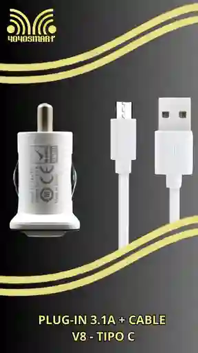 Plug-in 3.1a + Cable