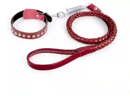 Correa Y Collar Perro Cuero Genuino Trenzado Y Resistente M