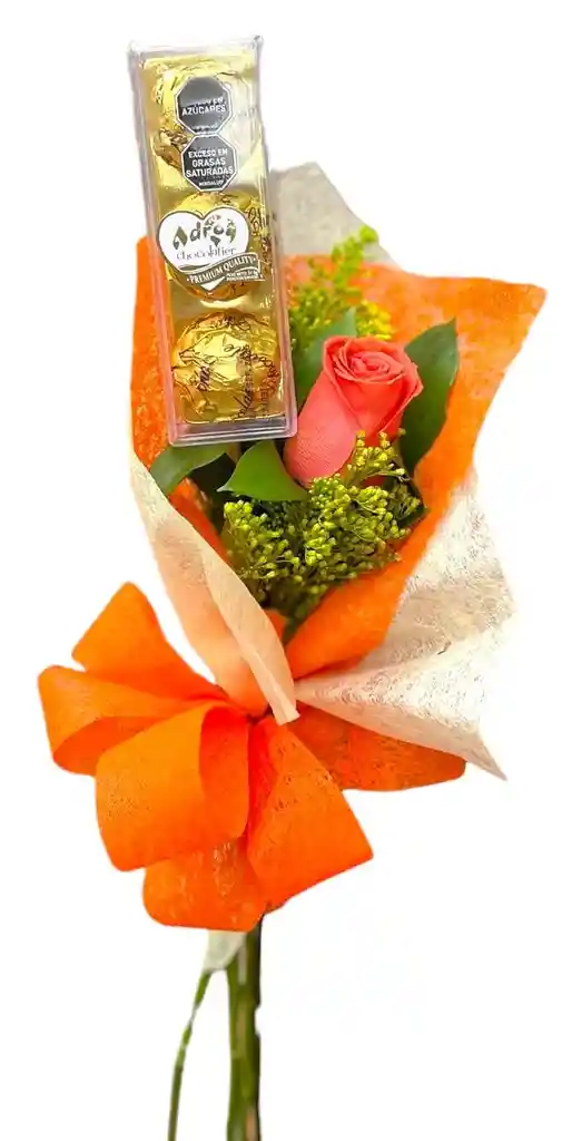 Rosa Sencilla Dulce