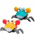 Juguete Crabby El Cangrejo Didáctico Para Bebes Nuevo