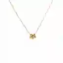 Collar Orbit / Dorado