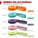 Bandas Elasticas Resistencia Fitnics Set X5 Gym Crossfit