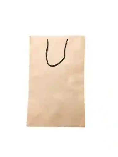 Bolsa De Regalo Kraft Lisa Mediana 27x17cm
