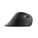 Mouse Ergonómico Inalámbrico Usb Trust Verro