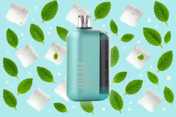 Vape 15.000 Puffs Priv Bar Alaska Mint