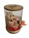 Regalo Detalle Oso Teddy Bear Con Chocolates Y Gomitas Para Cualquier Ocasion