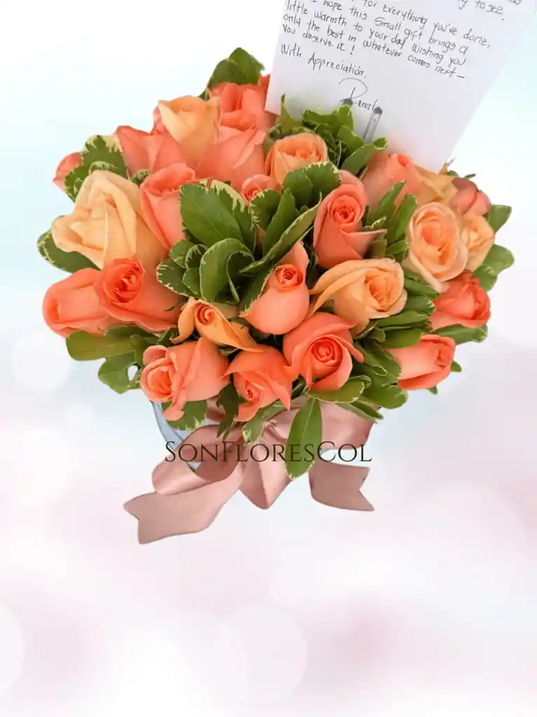 Rosas Salmon Salmonela