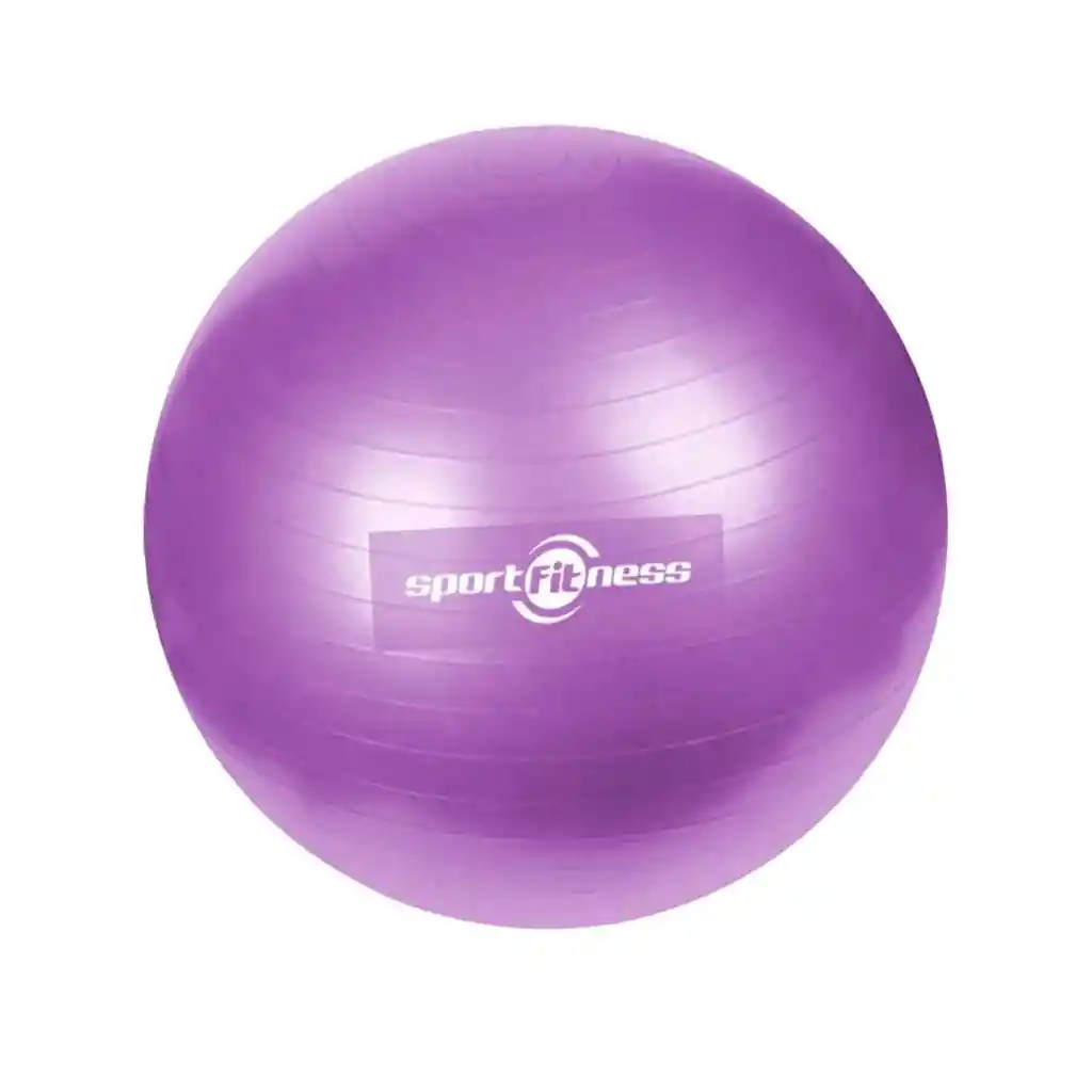 65 Cm Balon Gimnasia Sport Fitness