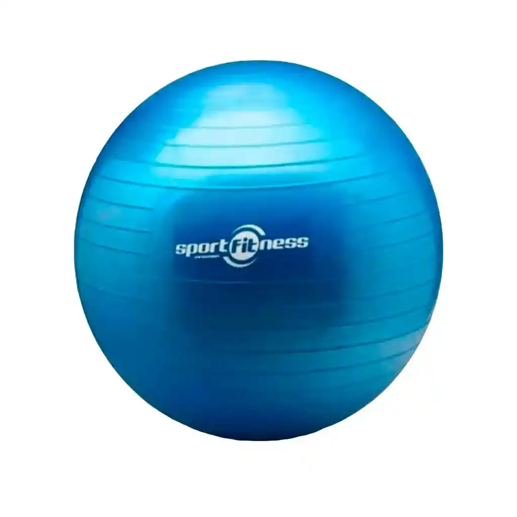 65 Cm Balon Gimnasia Sport Fitness