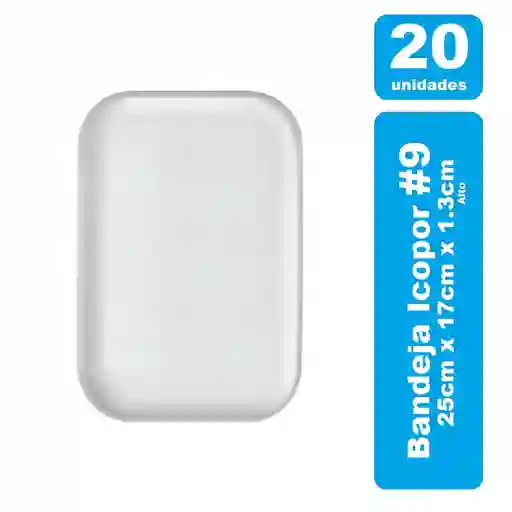 Darnel Bandeja #9 Icopor Blanca X 20und