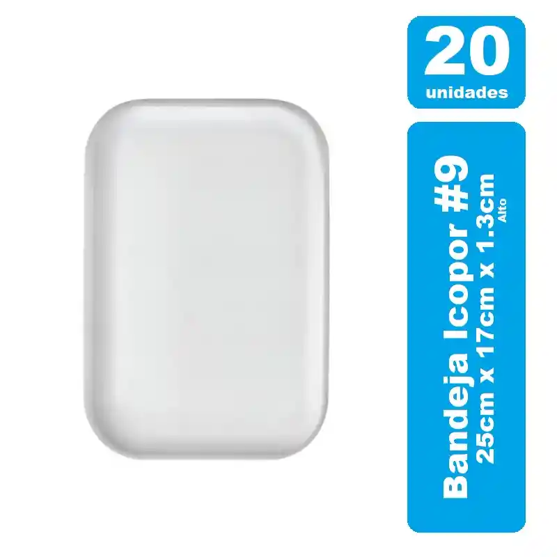 Darnel Bandeja #9 Icopor Blanca X 20und
