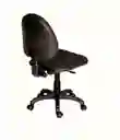 Silla Herradura Básica