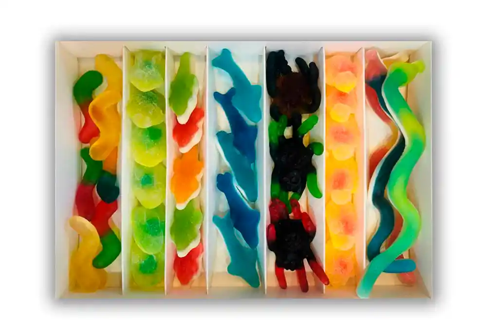 Caja De Dulces Fauna Silvestre