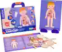 Juego Didáctico Pizarra Magnética Cuerpo Humano Para Niños