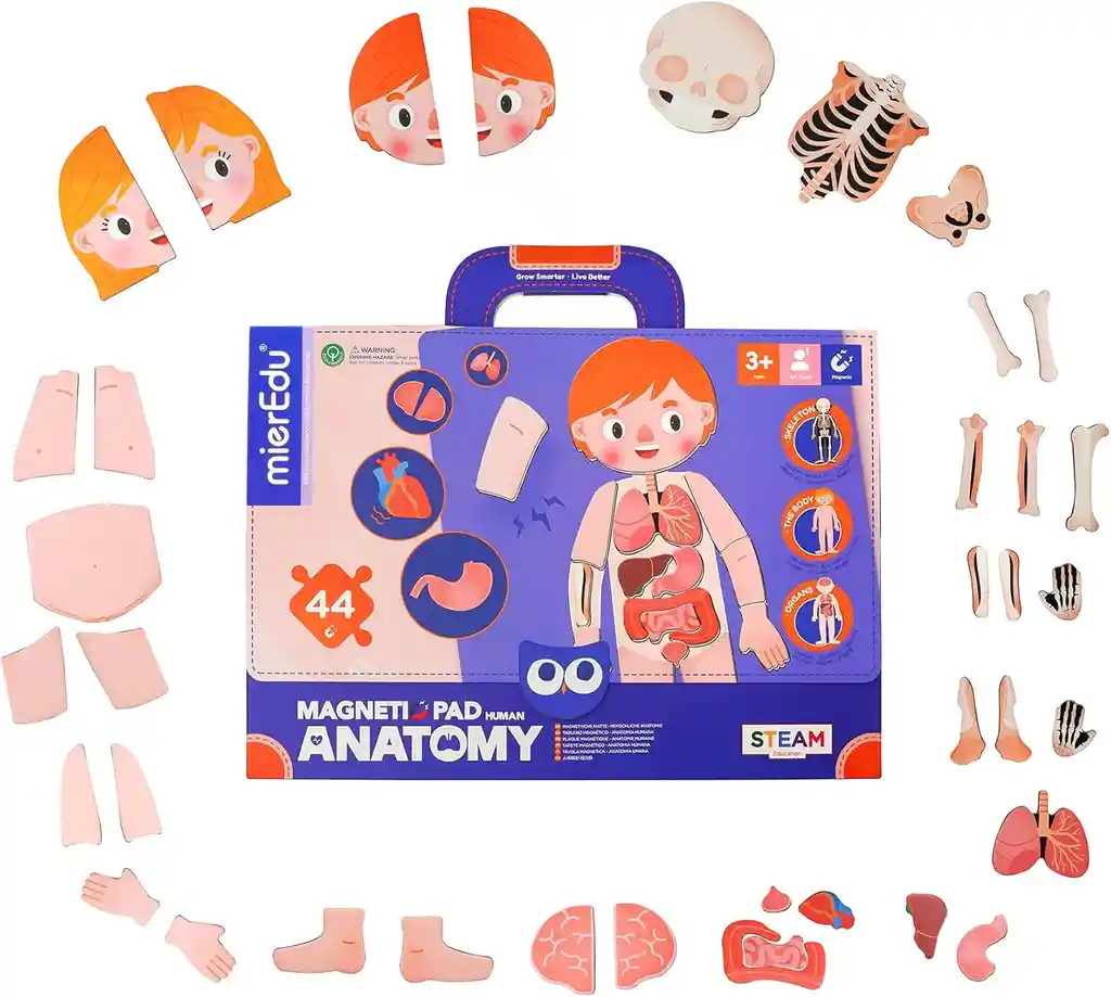 Juego Didáctico Pizarra Magnética Cuerpo Humano Para Niños