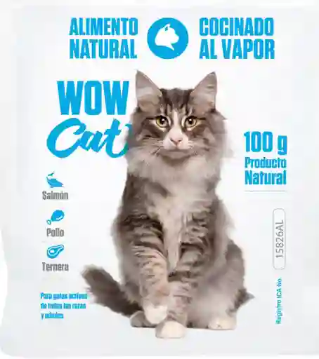 Wow Cat Gatos Pollo Ternera Y Salmon 100 Gr Wow Cat Gatos