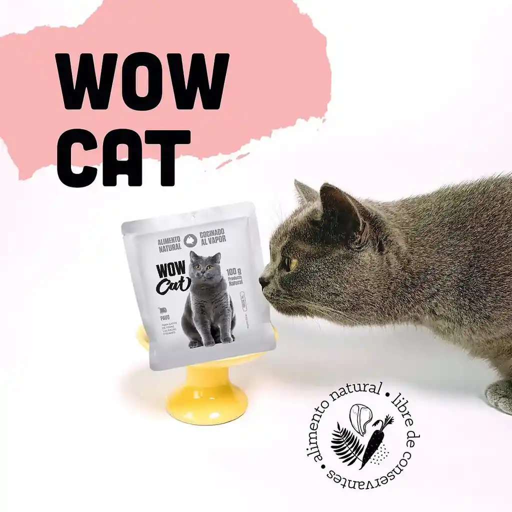 Wow Cat Pavo 100 Gr Wow Can Gato Pavo 100 Gr Wow Can Alimento Para Gatos