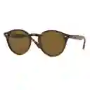 Gafas De Sol Ray Ban Round Highstreet Rb2180 710/73 Color Marrón Talla 51mm