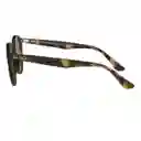 Gafas De Sol Ray Ban Round Highstreet Rb2180 710/73 Color Marrón Talla 51mm