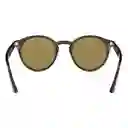 Gafas De Sol Ray Ban Round Highstreet Rb2180 710/73 Color Marrón Talla 51mm