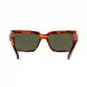 Gafas De Sol Ray Ban Inverness Rb2191 954/31 Color Marron Talla 54mm