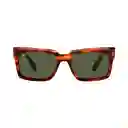 Gafas De Sol Ray Ban Inverness Rb2191 954/31 Color Marron Talla 54mm
