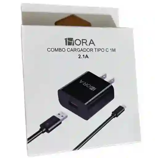Cargador Potencia 1hora Tipo C 3a