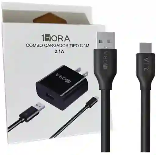 Cargador Potencia 1hora Tipo C 3a
