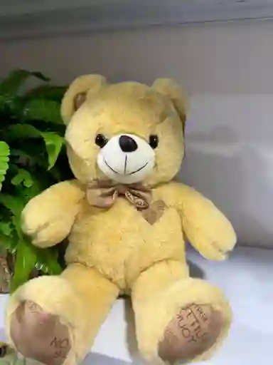 Peluche
