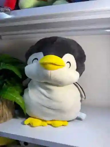 Peluche